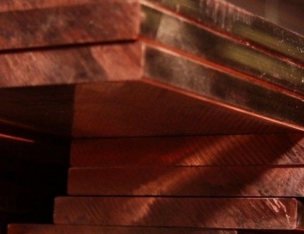 Плита медная х/к мягкая М2 25х200 мм ГОСТ 1173-2006 фото